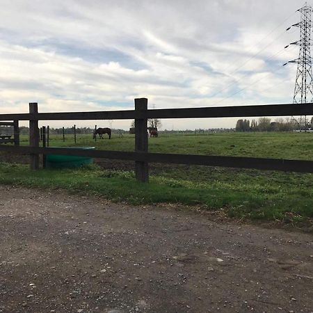 Ferme De La Forterie Verlinghem Dış mekan fotoğraf