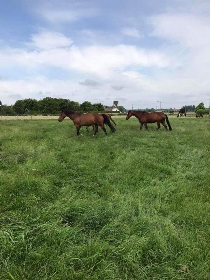 Ferme De La Forterie Verlinghem Dış mekan fotoğraf