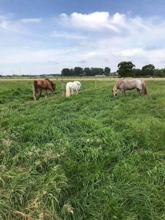 Ferme De La Forterie Verlinghem Dış mekan fotoğraf